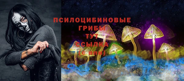 меф Каменск-Шахтинский