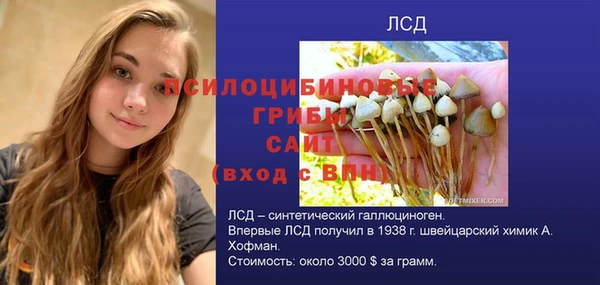 кокаин Каменка